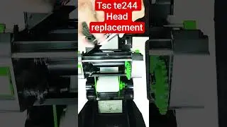 #printer Tsc Te 244 Barcode Printer Head replacement