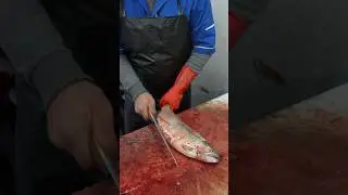 How to Gut and Fillet Fish the European Way