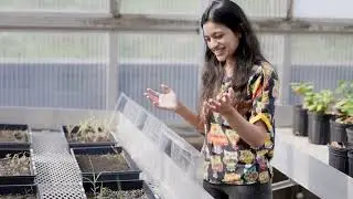 About Environmental and Conservation Sciences (ECS)