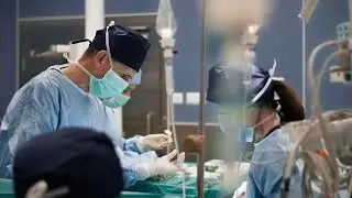 High-performance supplier for the Healthcare Industry