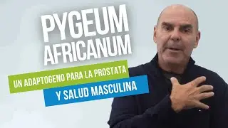 PYGEUM AFRICANUM: El adapt&oacute;geno amigo de la pr&oacute;stata.