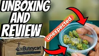 BUNNYCART Aquarium plants☘️|| UNBOXING AND REVIEW || SHOCKING UNEXPECTED