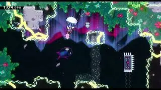 Celeste | Startup Contest 2021 | Rainbow Berry