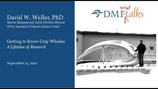 DMF Talks: Getting to Know Gray Whales, A Lifetime of Research