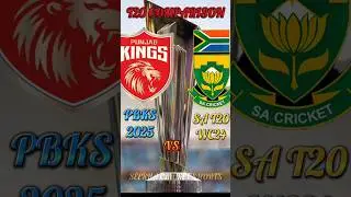 PBKS 2025 vs SA T20 World Cup 2024 Team T20 Stats Comparison #cricket #pbks #southafricacricketteam