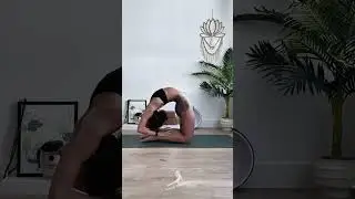 Relaxing Body Positivity Back Stretch Yoga Flow #yoga #flexibility #shorts #yogaexercise