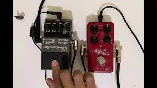 TC Electronic Hall of Fame 2 VS Boss Digital Reverb RV-5