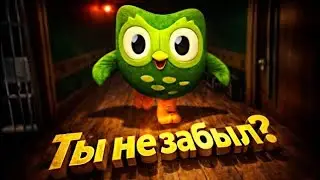 40 МИНУТ с Duolingo — я не имел права ошибаться... 🦉