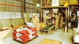 Food Industry Granfino Alimentos (English)