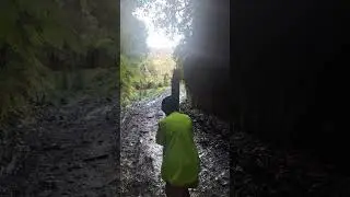 Old tunnel on road to bridge to Somewhere