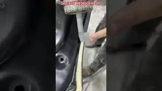 Sealent Replacement #shortfeed #carmaintenance #mechanic #brakefluid #brakesystem