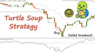 Easy Turtle Soup Mean Reversion EURUSD Trading Strategy!