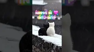 INTJ + INTP p1 #mbti #cat #foryou #love #shorts