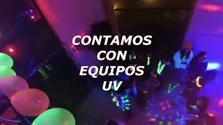 FIESTA FLUOR LS PRODUCTORA