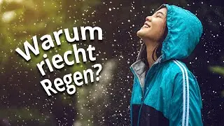 Wie und warum riecht Regen? Einfach erkl&auml;rt