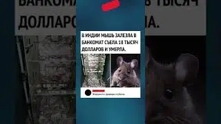 Бедный 😂 #мем смех #смешныевидео #прикол #шутки #jokes #shorts #shortvideo #юмор #мем