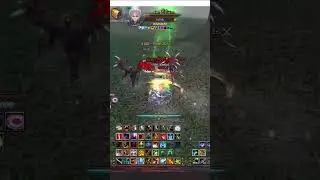 Assassin Magnier 1 vs 2 - PW indo