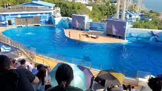 OCEAN PARK !! DOLPHIN THEATRE HONG KONG !!!