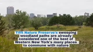 Watch now: New ADA-accessible trail planned for Tifft Nature Preserve