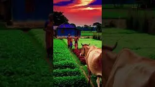 Bangladesh Rural Lifestyle  #nature #rural life