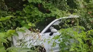 Walking in Vienna - abandoned car in Neuwaldegg, outskirts of Vienna