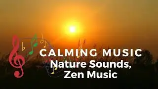 Calming Music Nature Sounds, Zen Music