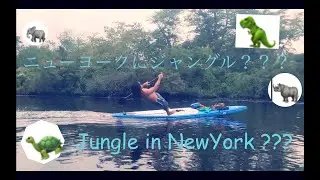 Carman's River Long Island NY SUP Stand Up Paddle Racing canoe Kayak ニューヨークの生活 アメリカ　ニューヨーク　カヌー　カヤック