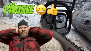 Anteeksi Naapurit! Nyt P&auml;risee Moottorisaha!