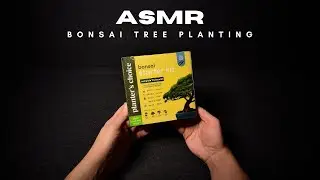 ASMR | Planting My First Bonsai Tree | Tranquility in Every Touch