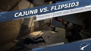 cajunb vs. FlipSid3 - DreamHack ZOWIE Open Bucharest 2016