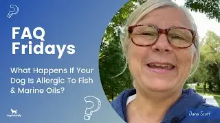 What Happens If Your Dog Is Allergic To Fish Oil?