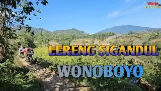LERENG GUNUNG SIGANDUL DAN BUTHAK DARI KEC WONOBOYO TEMANGGUNG
