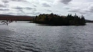 FOR SALE: Island at Aspy Bay