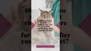 Why are routine vet check-ups important? #dog #cat #vet #vetvisit #pethealth #healthydog #healthycat