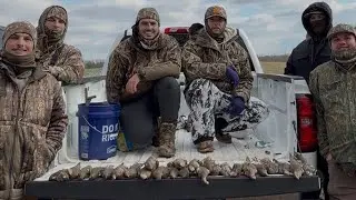 DOVE HUNTING 2 man limit CATCH,CLEAN & COOK