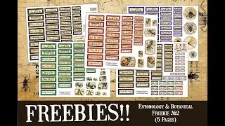 Another FREEBIE!! l   Coordinates with Entomology & Botanical Digital l So Much Fun!!