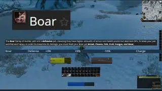 The Definitive SoD Hunter PET Guide