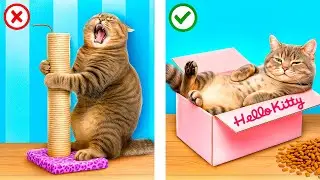 Wir bauen geheime Zimmer für Haustiere! Reicher Hund vs arme Katze!
