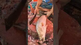 Amazing! Big Giant Size Coral Fish Cutting Skills by Expert Cutter 😳😱 || #shorts #fishcutting_skills