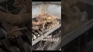 Double-Shaft Shredder Shreds Tree Roots #machine #shredder #automation  #treeshredder