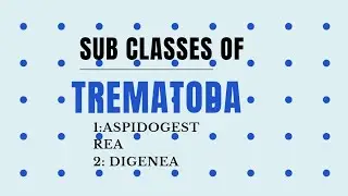 #Sub classes of Trematoda #Aspidogestrea#Digenea #invertebrates diversity