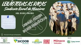 LEILÃO TODAS AS RAÇAS - MINEIROS-GO | 21/12/2025 | 14h