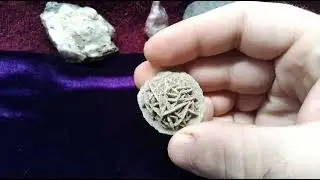 Desert Rose