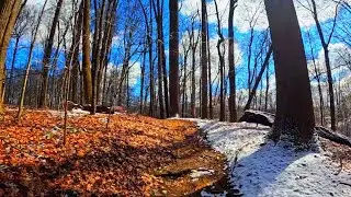 Nuthatch Trail Extension - F. A. Seiberling Nature Realm - Summit County Metro Parks, Akron, Ohio