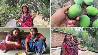 পিসির বাড়ির ছাদ থেকে কাঁচা আম পেড়ে আম মাখা করলাম।। পুরো ভিডিও টা আশা করি তোমাদের ভালো লাগবে।।#vlog
