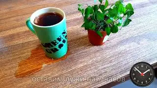 Green  Grain тестирует защитное покрытие стола