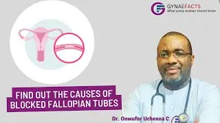 FALLOPIAN TUBE BLOCKAGE || Causes and Prevention (Ep8)