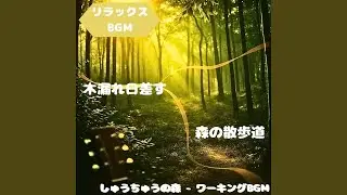 「リラックスBGM」光と影が描くやさしい時間