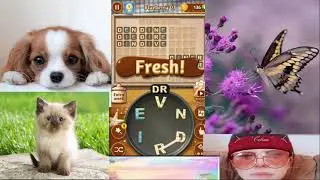 {Word Cookies} Fantastic chef - Blueberry Level - Part 1 - Level 1 to 4 (celina mak official)