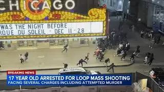 Teen charged in Chicago downtown mass shooting, police say